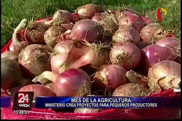Ministerio de Agricultura ejecuta 25 proyectos de desarrollo agrario