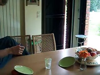 Amazing Ping pong and Plate trick