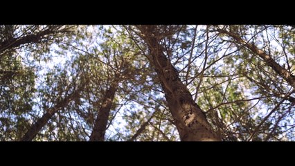 Deven Coleman - Broken Wings (Official Music Video)