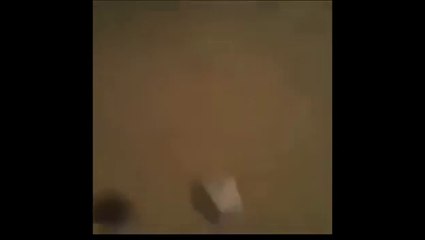 If you don't laugh, you have no soul...Part 3
