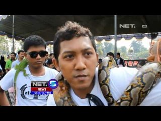 NET5 - Festival Hijau taman kota