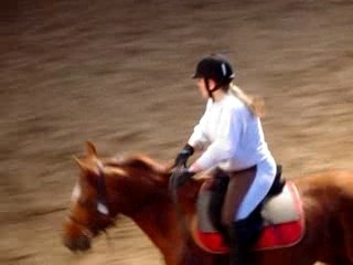 Coupe ACBB CSO à 2 (type E3)