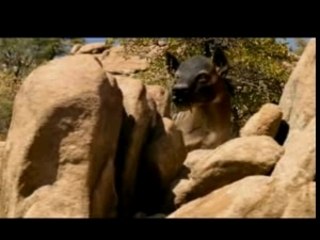 Sur la terre des monstres disparus (3/6)