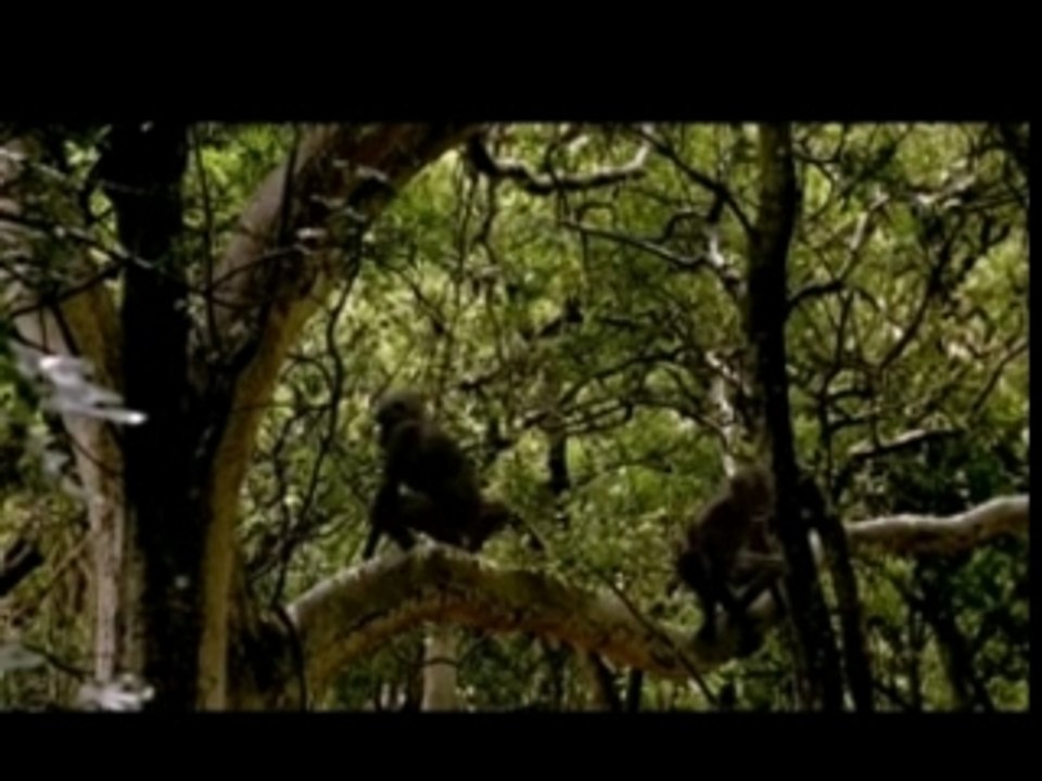 Sur la terre des monstres disparus (4/6)