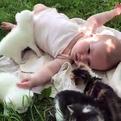 Bu Tatlı Video Bizden Size Gelsin:)