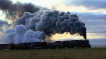 Hey Kids! More Real BIG Steam TRAINS in Action   Lots & Lo