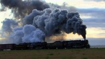 Hey Kids! More Real BIG Steam TRAINS in Action   Lots & L