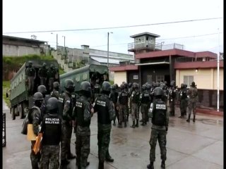 Nuevos inquilinos en la tolva