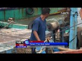 NET12 - Panen 9 ton ikan tongkol sekali melaut di Lamongan