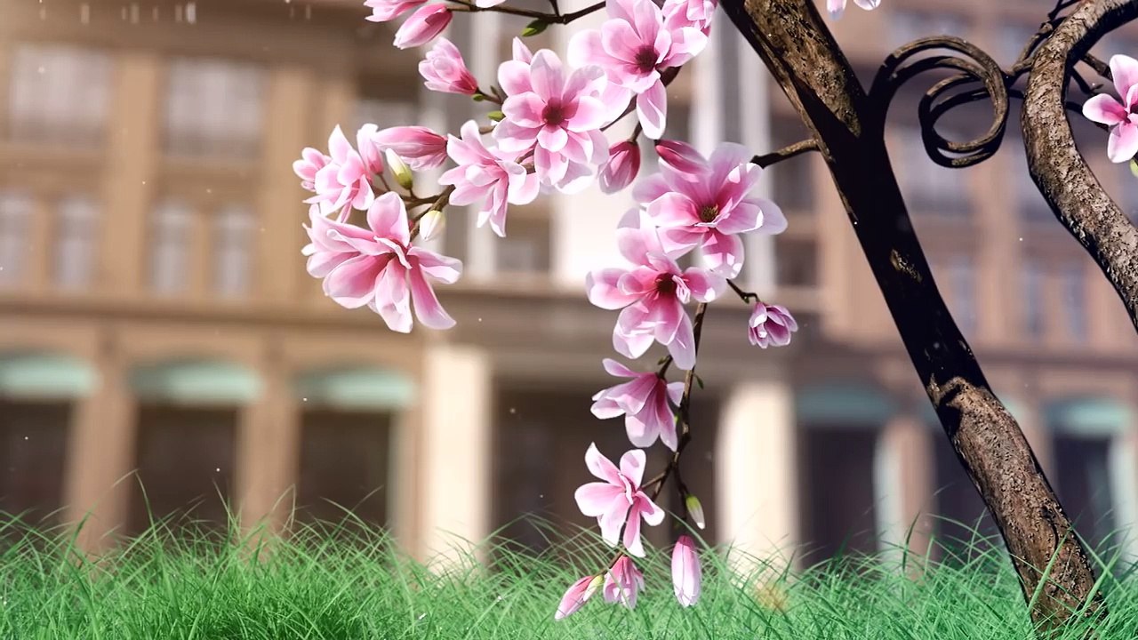 Video Presentation - Park Bayıl ... tarix yazılmağa davam edir