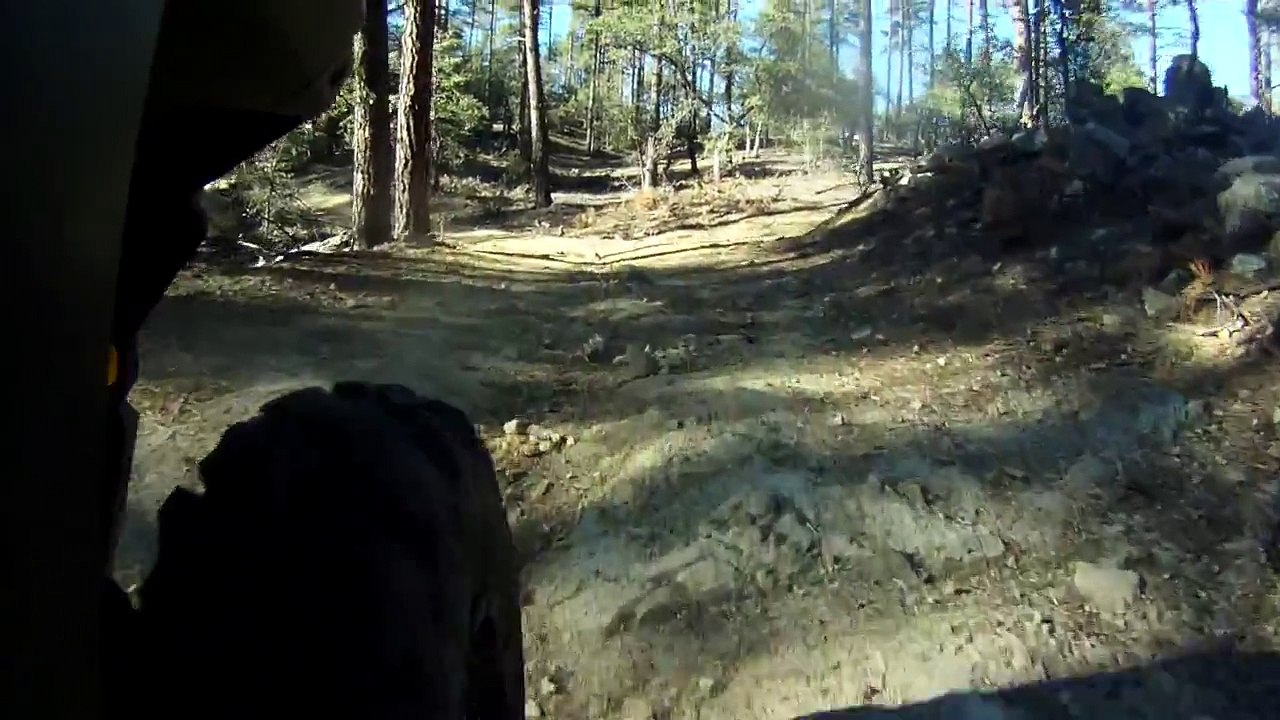 2015 Polaris RZR 900 EPS Trail suspension articulation trail camera