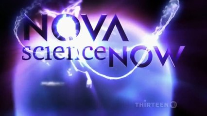 Animal Planet -  Super Smart and  intellgent Animals