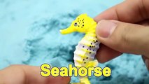 Learning Sea Creatures for Children with Sea Creatures Fishing Toy