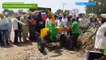 Silage Expert Chaff Cutter -Vidhata Model JF 6