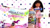 SURPRISE TOYS IN WALMART SHOPPING CART with AG Doll Ashlyn