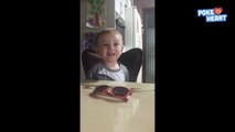 Adorable Toddler Gets Excited About Cake Video 2016 - Daily Heart Beat