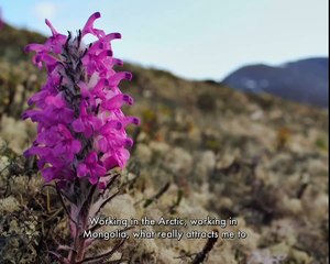 How to become a Geologist | Volkmar Guido Hable | Volkmar Hable