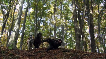 Robin Hood S03E11 The En.emy of My En.emy