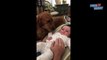 Cute Dog Licks Baby's Hand Video 2016 - Daily Heart Beat