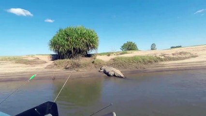 Giant Crocodile Scares Fishermen in Western Australia