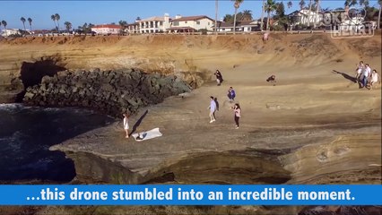 Amazing Drone Catches Beach Proposal Video 2016 - Daily Heart Beat