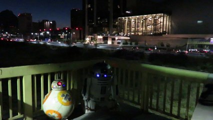 BB8 and Artoo Detoo at Santa Catarina River Bridge