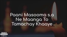 Tamachay Khaye Lyrics Shahid Baltistani