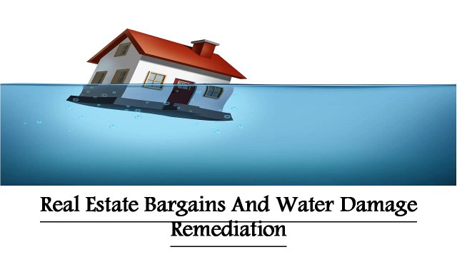 Real Estate Bargains And Water Damage Remediation