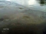 12.नदीमे कभी भवर तयार होते देखा है ....... देखीये Video आप हैरान होजावोगे । Whirlpool