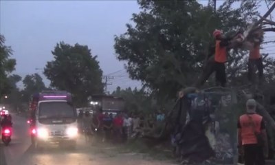 Truk Bermuatan Cabai Tabrak Pohon dan Terguling