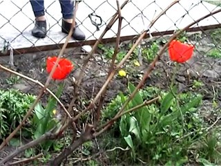 01. Руководство