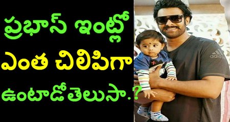 Prabhas real life style ….unseen video..!!