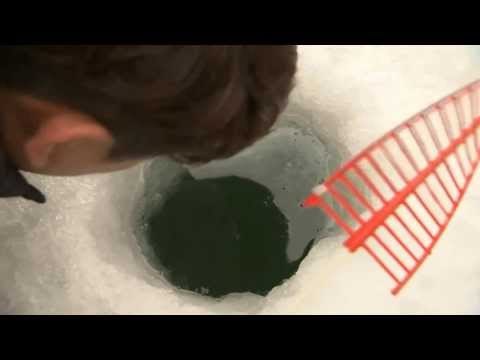 NET5 - Memancing Ikan di Sungai Es Korea Selatan