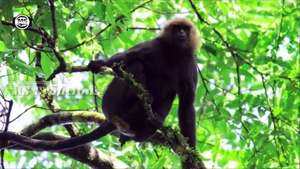 Beautifull Tourist Places in Valpara   MS Creations Presents