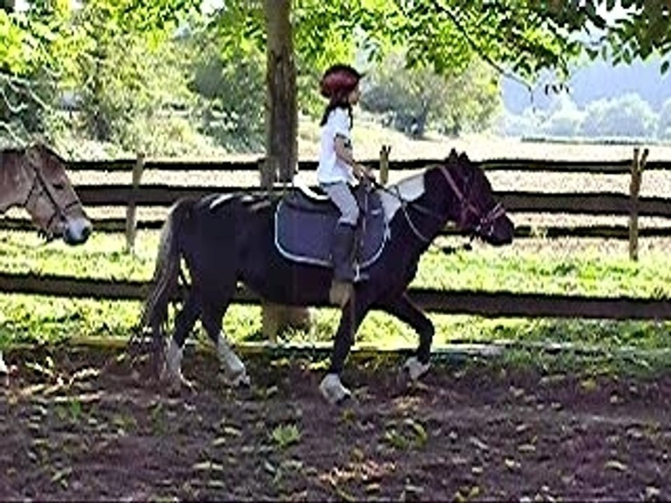 ferme équestre de seuzac
