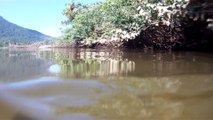 Mergulhando em apneia contemplativa na foz do rio Ubatumirim, Ubatuba, nas ondas e areias da praia e mata ciliar, Ubatuba, SP, Brasil, 2017