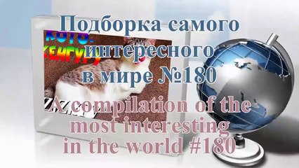 The most interesting video in the world (A fascinating and informative) #180
