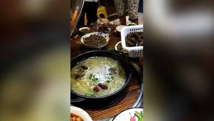 Une petite anguille vivante pour le repas ?