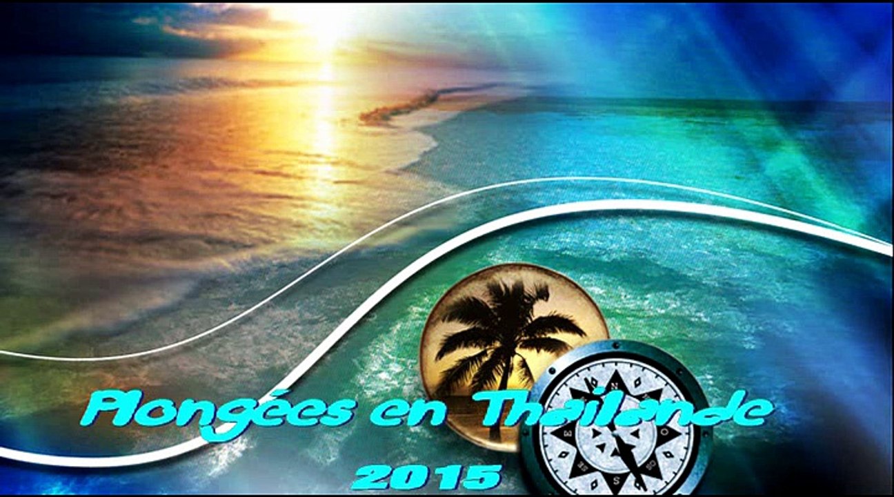 plongées en thailande récifs corallien  2015 (2)