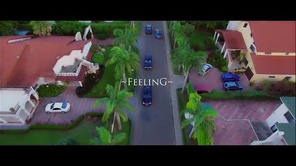 Bisa Kdei Feeling ft. Reekado Banks (Official Video)