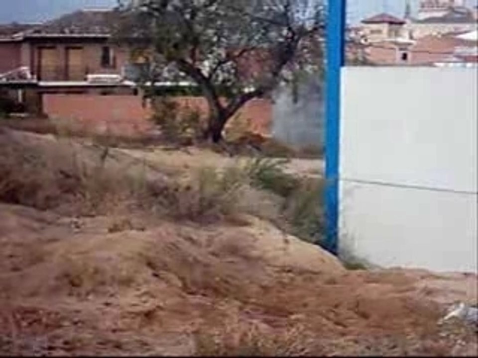 1 sampler xule street stunts