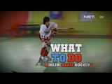 NET24 - Inline Skate Hockey