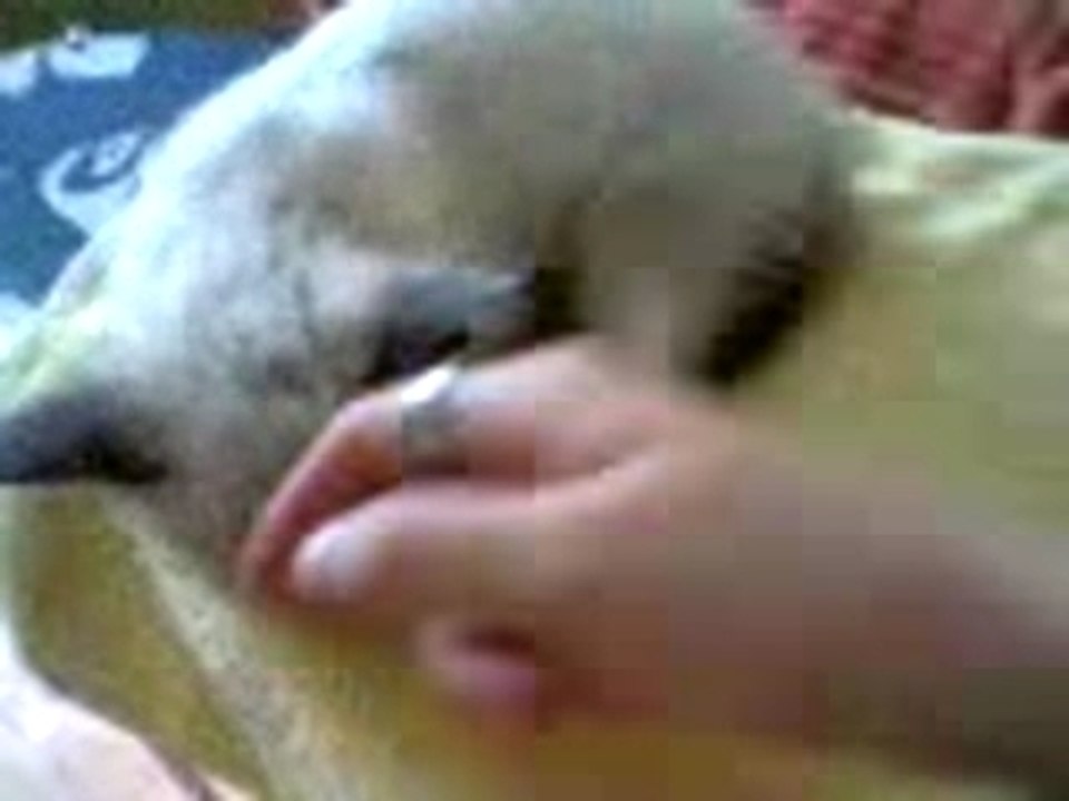 Video-0057