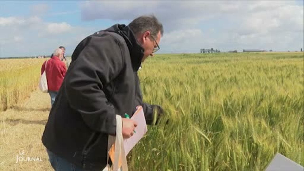 Vendée : Un rallye pour promouvoir l'agriculture biologique