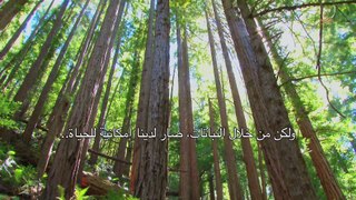 فهد الكندري - برنامج فسيروا - الشمس - الحلقة 21 _ Fahad AlKandari - Faseero - The Sun - Eps# 21