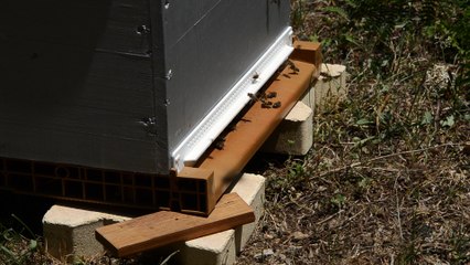 17/06/17 Colonie Saparella II à Bastelica