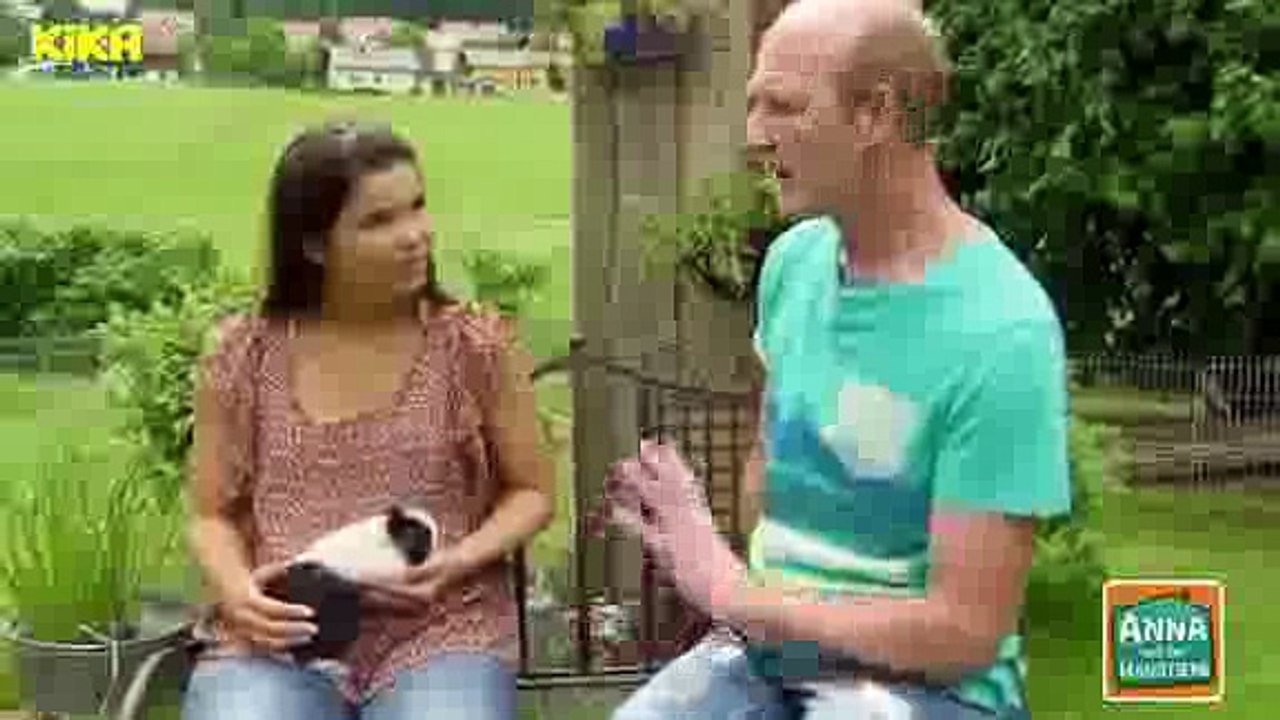 Anna und die Haustiere Meerschweinchen