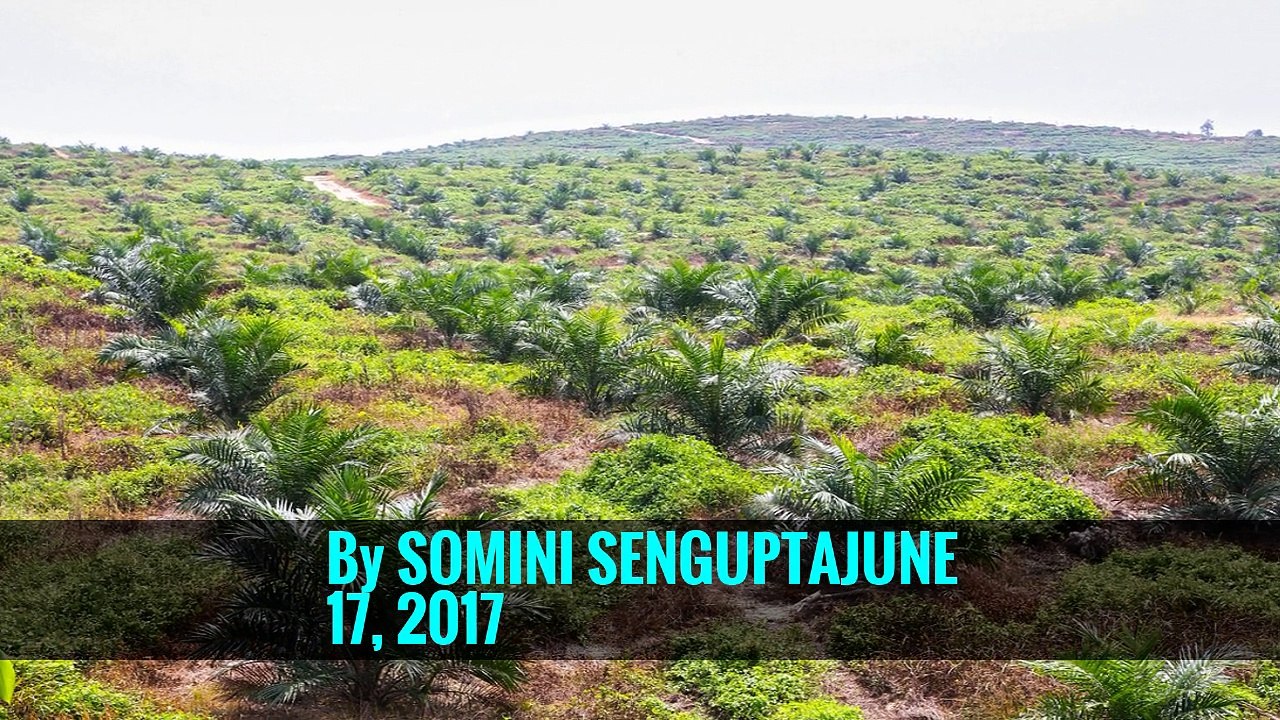 Both Climate Leader and Oil Giant? A Norwegian Paradox