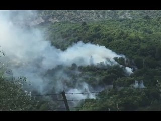 下载视频: Serra San Quirico (AN) - In fiamme la vegetazione, intervengono Vigili del Fuoco (17.06.17)