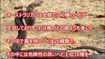 【閲覧注意】恐怖！ヘビ関する怖い雑学【知らな�